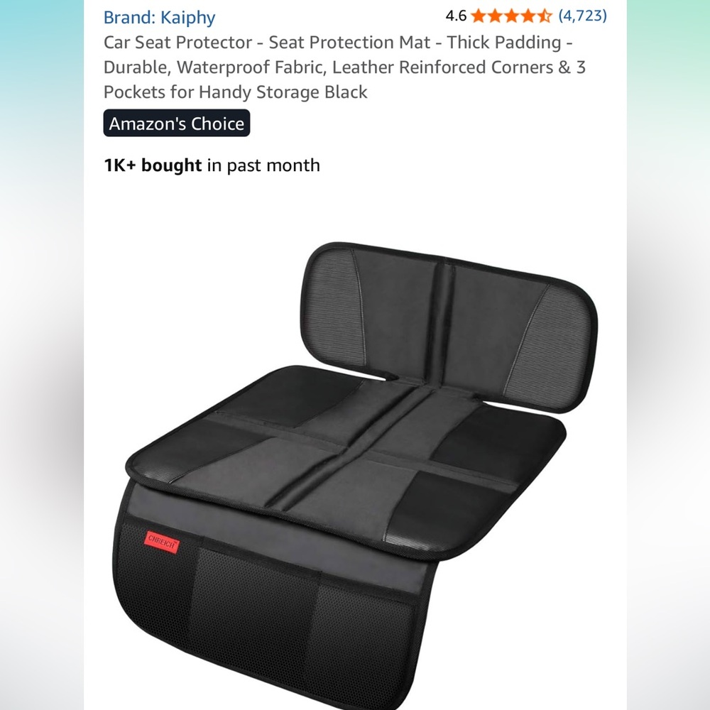 Car seat protector